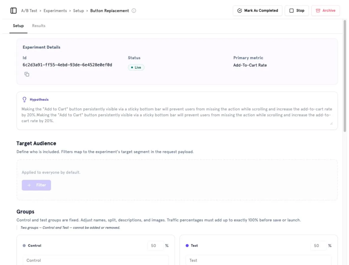 The Setup tab: details, hypothesis, target audience and groups.
