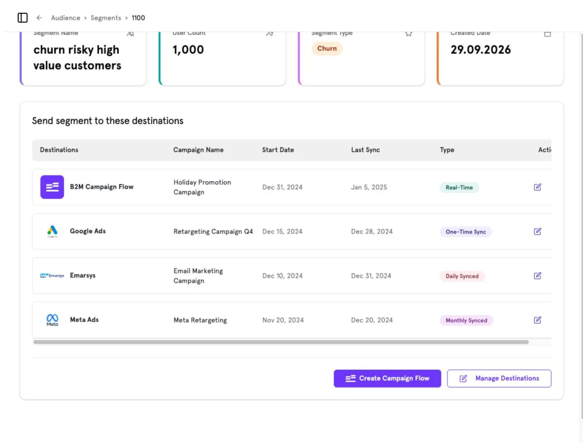 A churn segment synced to a B2M Campaign Flow, Google Ads, Emarsys and Meta Ads.